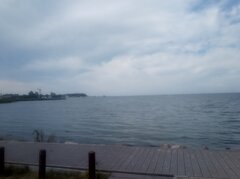 IMG_20200817_142111.jpg