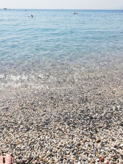 IMG_20200811_125838.jpg