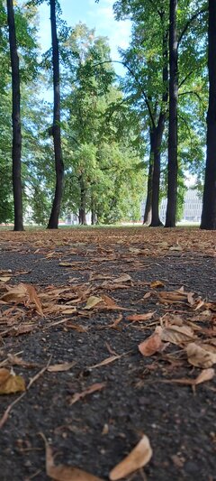 20200826_093508.jpg