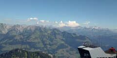 IMG_20200826_123216.jpg