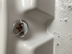 552B0C81-1E73-4095-802C-605AC1F54C33.jpeg