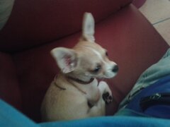 20161006_103458.jpg