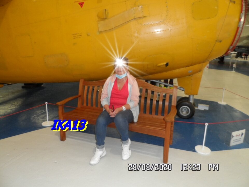 SAM_2930.JPG - ika13