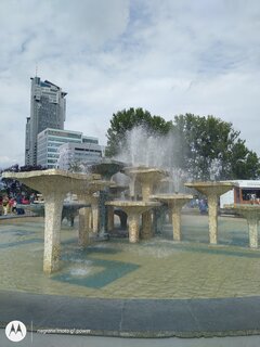 IMG_20200829_145000743.jpg