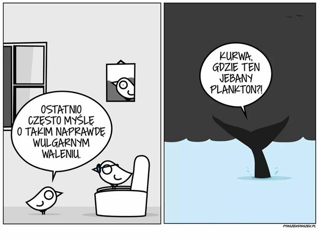 KurewnaSniezka