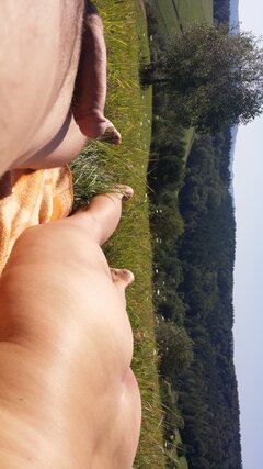 20200830_113724.jpg