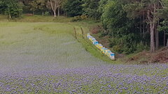20200617_050642.jpg