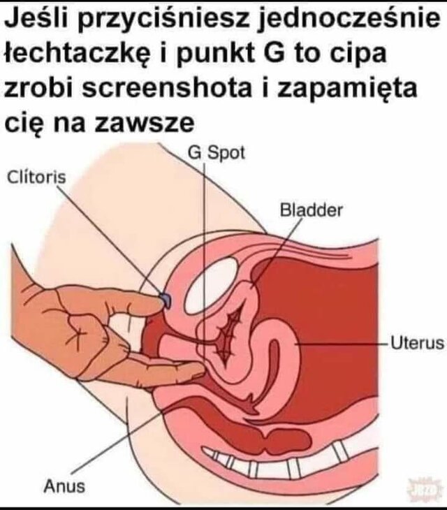 Mlody_Gdansk