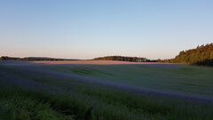 20200617_050620.jpg