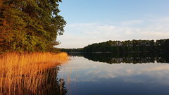 20200509_200953.jpg