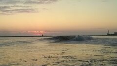 WP_20200903_011.jpg