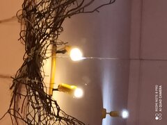 IMG_20200903_174609.jpg