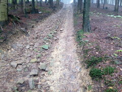 IMG_20200906_142821.jpg