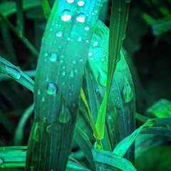 389DA105-3DB5-4776-9537-81A1FF8070FF.jpeg