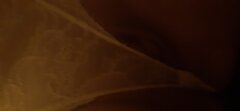 20200829_232401.jpg