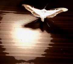 20200907_084127.jpg
