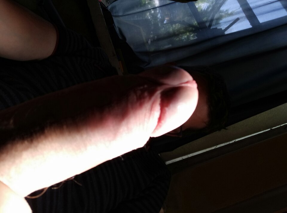1599483427343..jpg - Lolek2018