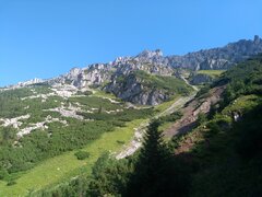 IMG_20200830_101514.jpg