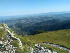 IMG_20200830_090214.jpg