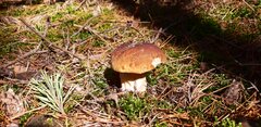 20200912_105050.jpg