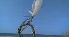 IMG_20200912_144719.jpg