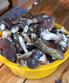 20200912_141139.jpg