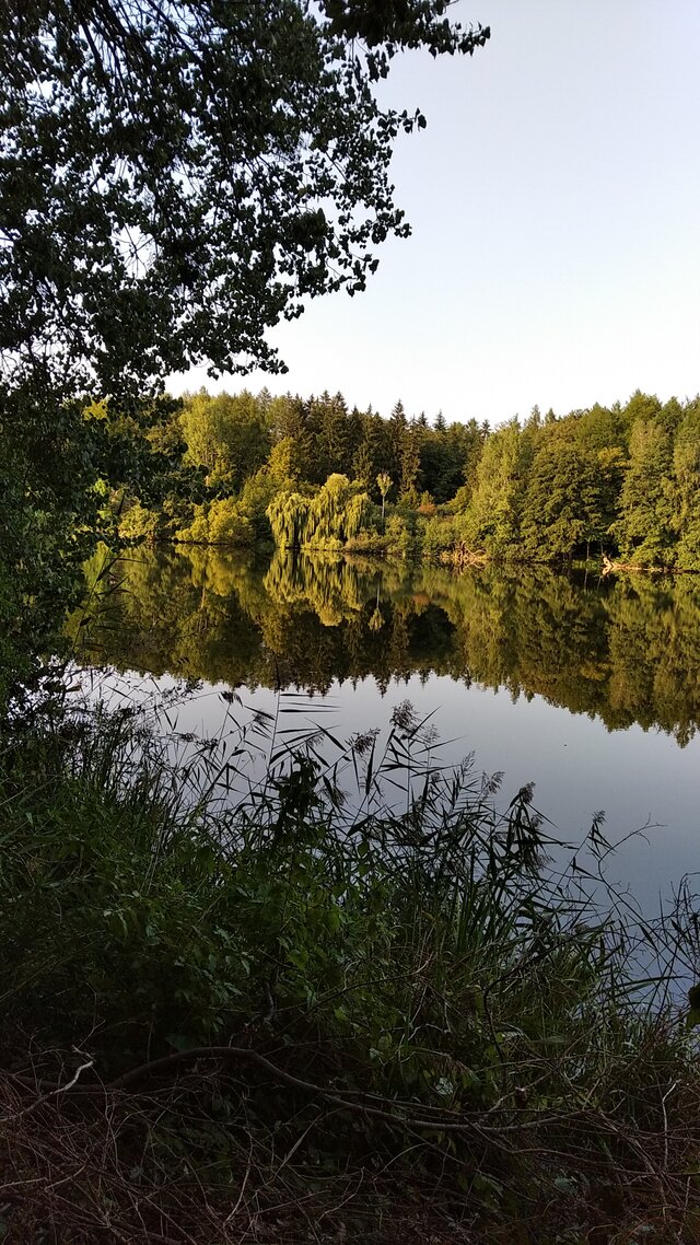 BiedronkaWkoronkach