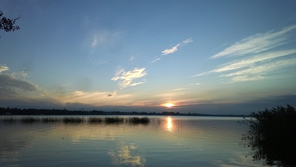 WP_20200913_012.jpg - Ratl
