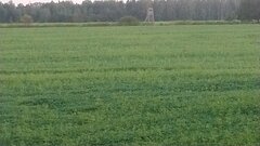 DSC_0066.JPG