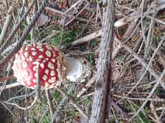 20200913_114132.jpg