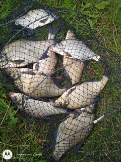 IMG_20200913_143735949.jpg