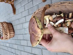 IMG_20200915_114427.jpg