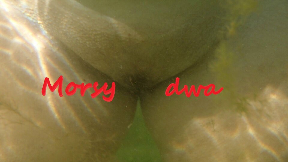 Podwodny plener. - Morsy_dwa