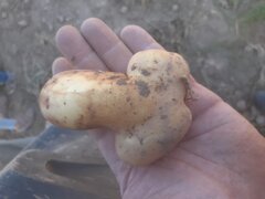 20200916_100705.jpg