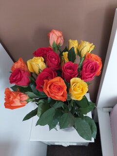 20200919_161705.jpg