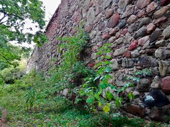 IMG_20200919_151715a.jpg