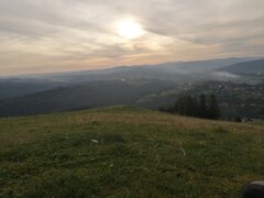 IMG_20200919_174521.jpg