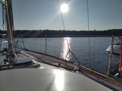IMG_20200921_081729.jpg