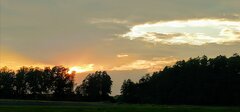 IMG_20200925_110042.jpg