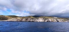 IMG_20200924_095826.jpg