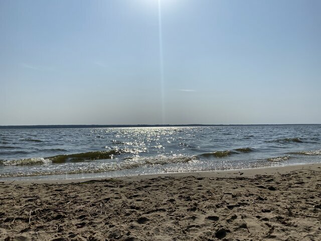 Mlody_R87