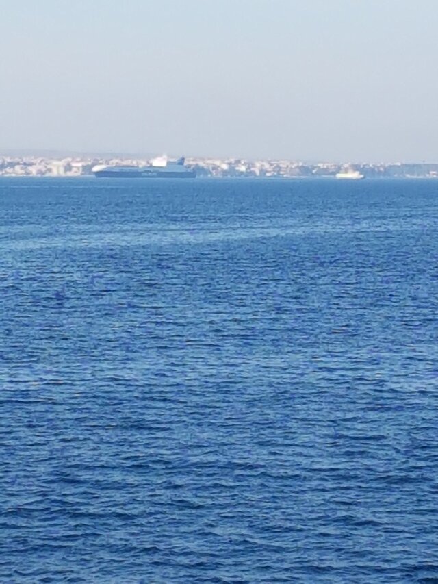 RybkiPokaza