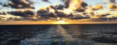 Sea ❤️