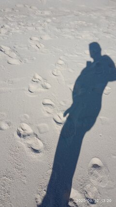 IMG_20200930_132031.jpg