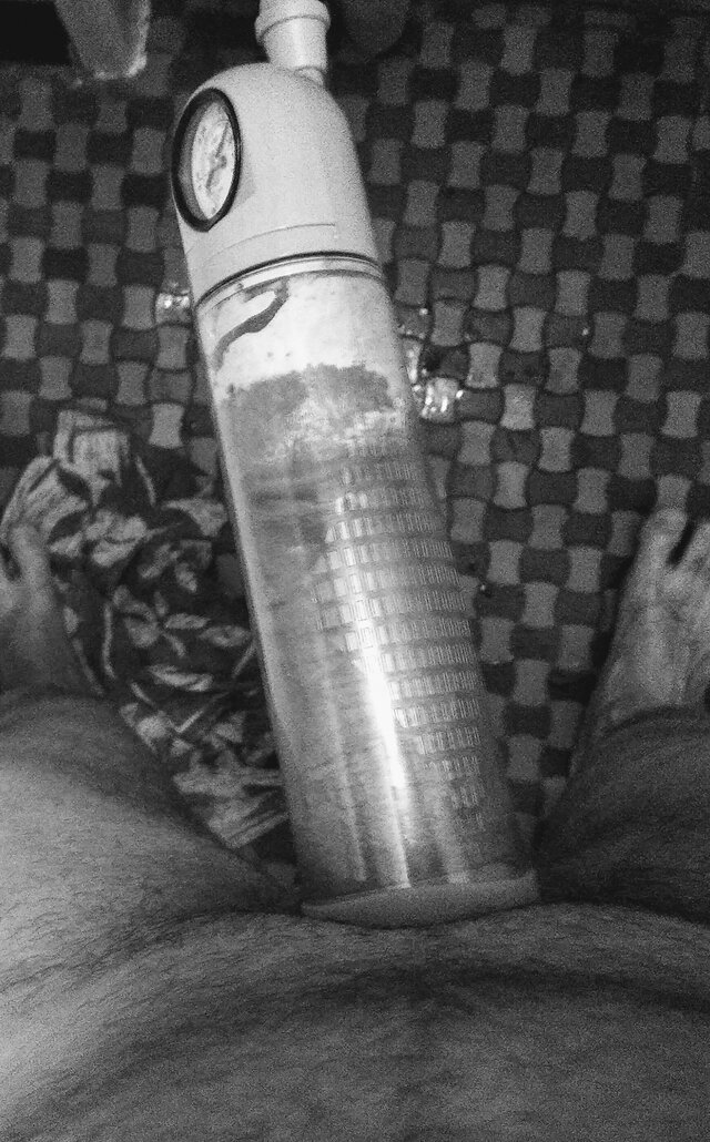 perq31