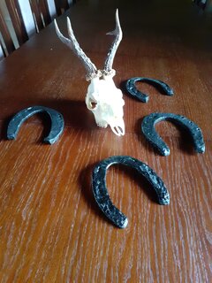 20201002_111243.jpg