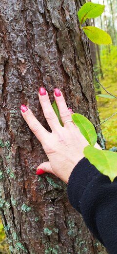 IMG_20201003_142806.jpg