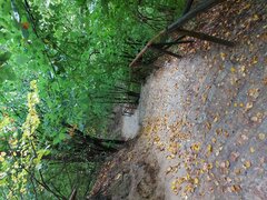 20201001_100034.jpg