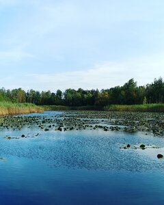 IMG_20201003_162113_759.jpg