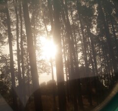 20201004_102025.jpg